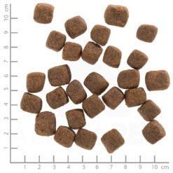 Wolfsblut Adult Wild Game - Rebhuhn, Wildtaube Und Süßkartoffel Trockenfutter 2 Kg 7 Wolfsblut Adult Wild Game - Rebhuhn, Wildtaube Und Süßkartoffel Trockenfutter 2 Kg -Angebote Futter Reich Store wb766779 wolfsblut wild game adult 4260262766779 dsc0589 lineal 1