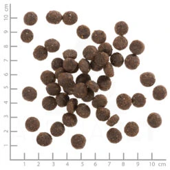 Wolfsblut Puppy Range Lamb - Lamm Und Vollkornreis Trockenfutter 4 X 2 Kg -Angebote Futter Reich Store wb766953 wolfsblut range lamb puppy 500g 4260262766953 dsc0575 lineal 3