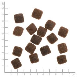 Wildes Land Soft Adult Ente Mit Reis Und Wildkräutern Trockenfutter 1,5 Kg 9 Wildes Land Soft Adult Ente Mit Reis Und Wildkräutern Trockenfutter 1,5 Kg -Angebote Futter Reich Store wl514872 wildes land nr. 2 ente mit reis und wildkr utern soft 1 5kg 4250839514872 lineal 1000px