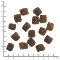 Wildes Land Soft Adult Huhn Mit Reis Und Wildkräutern Trockenfutter 1,5 Kg 9 Wildes Land Soft Adult Huhn Mit Reis Und Wildkräutern Trockenfutter 1,5 Kg -Angebote Futter Reich Store wl514926 wildes land nr. 3 huhn mit reis und wildkr utern soft 1 5kg 4250839514926 lineal 1000px