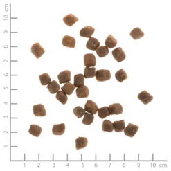 Wildes Land Soft Puppy Huhn Mit Reis Und Wildkräutern Trockenfutter 3 X 5 Kg -Angebote Futter Reich Store wl515046 wildes land nr. 6 puppy huhn mit reis und wildkr utern soft 1 5kg 4250839515046 lineal 1000px 3