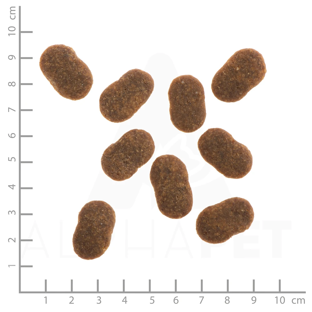 Wildes Land Classic Adult Rind Mit Kartoffeln Und Wildkräutern Trockenfutter 12 Kg 6 Wildes Land Classic Adult Rind Mit Kartoffeln Und Wildkräutern Trockenfutter 12 Kg – Bild 4