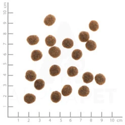 Wildes Land Classic Mini Ente Mit Kartoffeln Und Wildkräutern Trockenfutter 4 Kg 7 Wildes Land Classic Mini Ente Mit Kartoffeln Und Wildkräutern Trockenfutter 4 Kg -Angebote Futter Reich Store wl515701 wildes land nr. 9 ente mit kartoffeln und wildkr utern mini 1kg 4250839515701 lineal 1000px 3