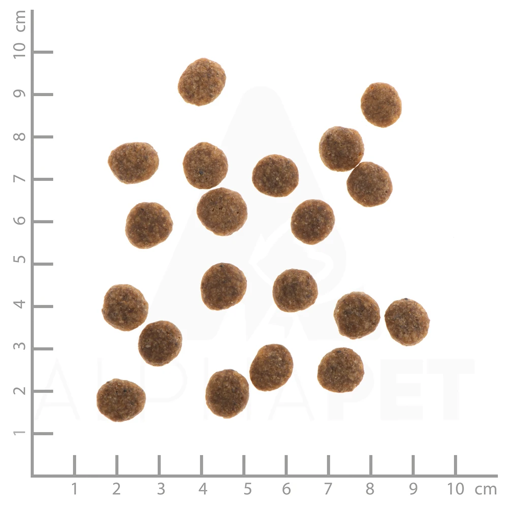 Wildes Land Classic Mini Ente Mit Kartoffeln Und Wildkräutern Trockenfutter 4 Kg 5 Wildes Land Classic Mini Ente Mit Kartoffeln Und Wildkräutern Trockenfutter 4 Kg – Bild 3