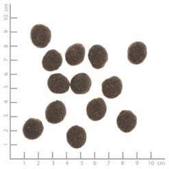 Wildes Land Classic Adult Kaninchen Mit Kartoffeln Und Wildkräutern Trockenfutter 12 Kg -Angebote Futter Reich Store wl515726 wildes land nr. 4 kaninchen mit kartoffeln und wildkr utern 1kg 0742832515726 lineal 1000px 2