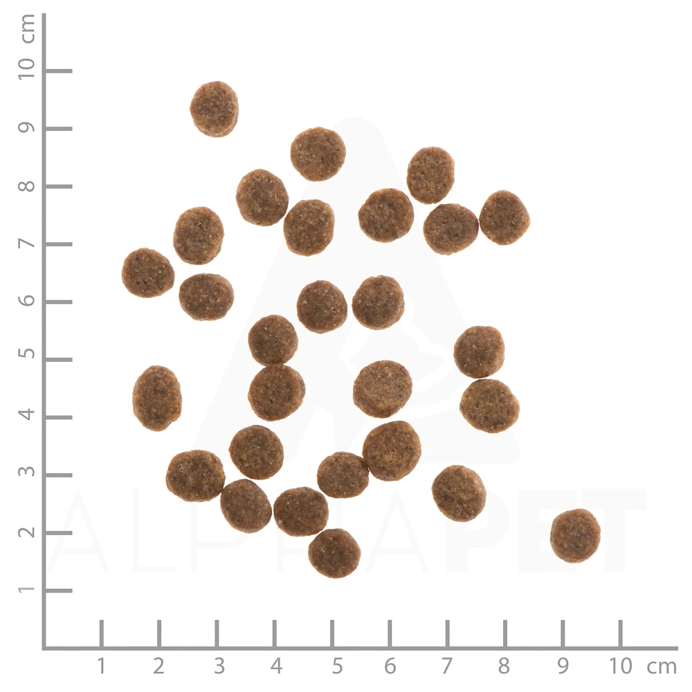Wildes Land Classic Puppy Lamm Und Huhn Mit Reis Und Wildkräutern Trockenfutter 4 X 1 Kg – Bild 2
