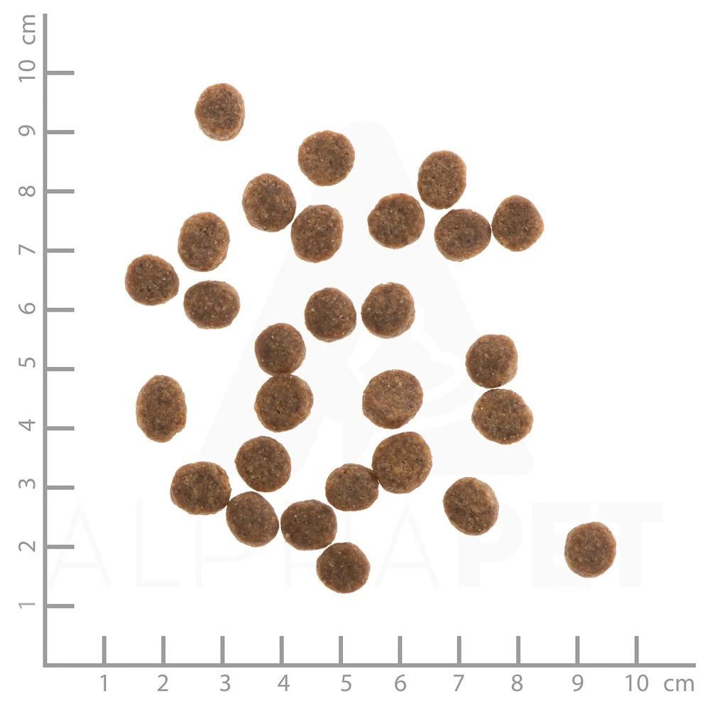 Wildes Land Classic Puppy Lamm Und Huhn Mit Reis Und Wildkräutern Trockenfutter 12 Kg – Bild 3