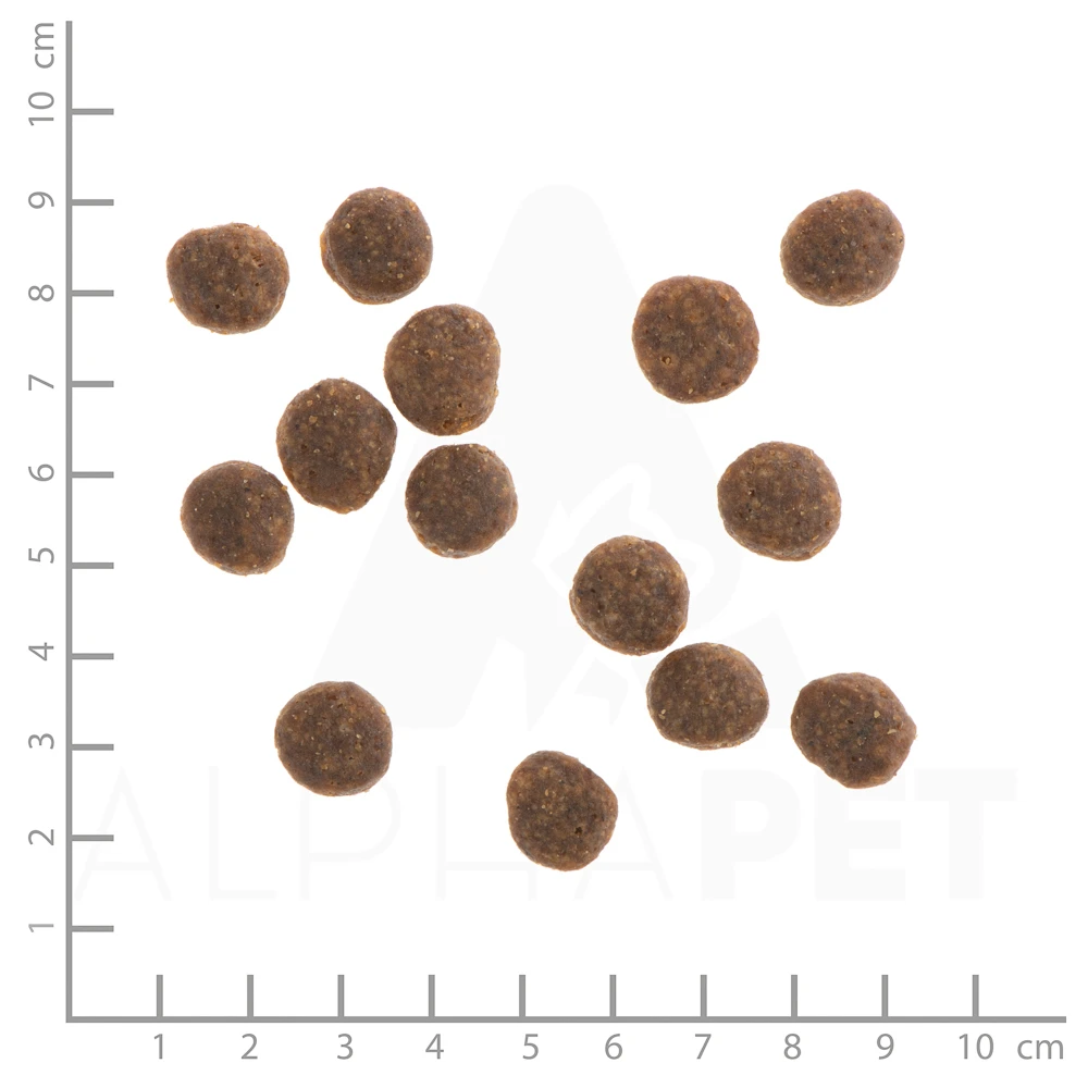 Wildes Land Classic Adult Ente Mit Kartoffeln Und Wildkräutern Trockenfutter 4 Kg – Bild 4