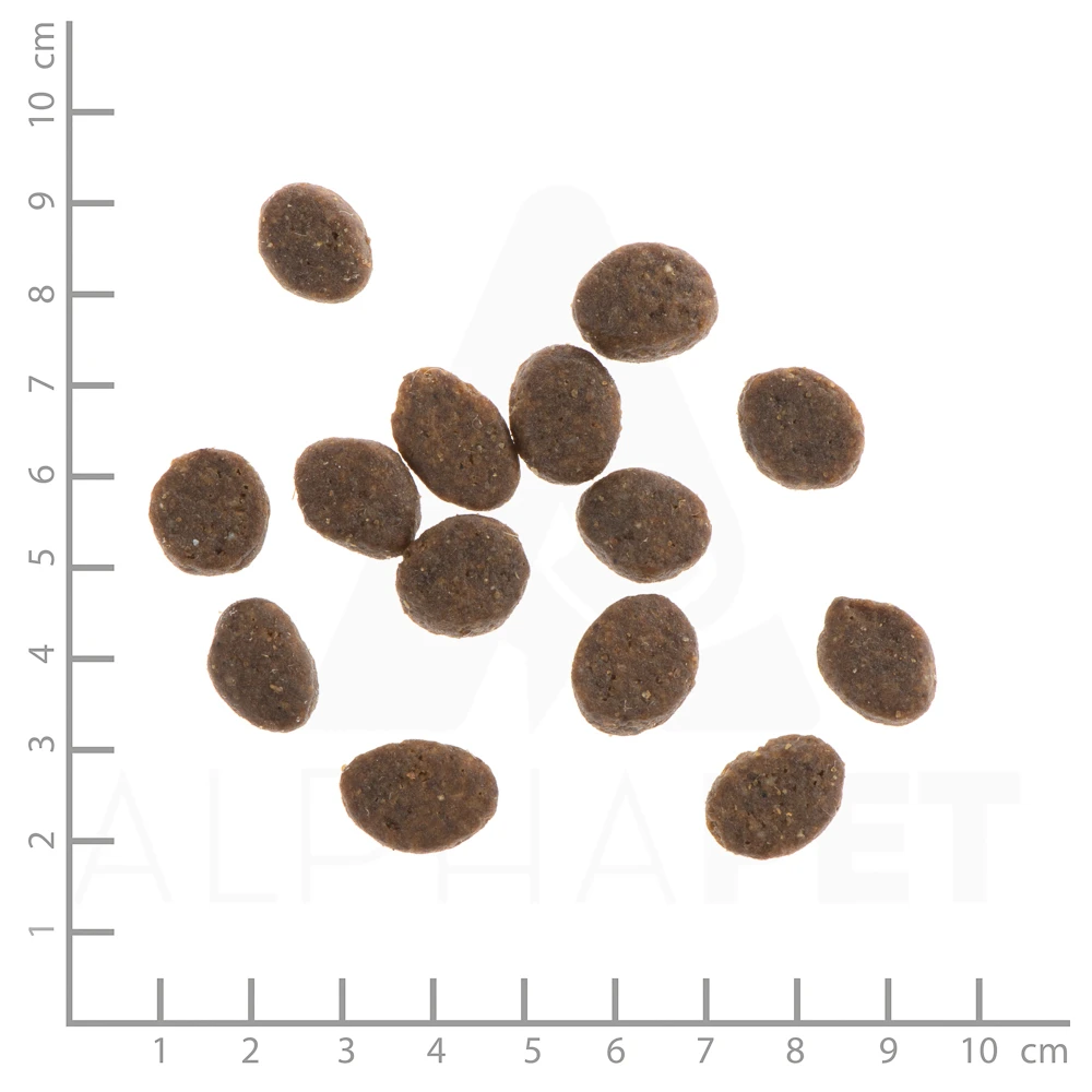 Wildes Land Classic Adult Lamm Mit Reis Und Wildkräutern Trockenfutter 2 X 12 Kg 6 Wildes Land Classic Adult Lamm Mit Reis Und Wildkräutern Trockenfutter 2 X 12 Kg – Bild 4