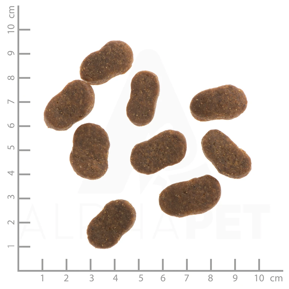 Wildes Land Classic Adult Lamm Und Lachs Mit Kartoffeln Und Wildkräutern Trockenfutter 4 Kg – Bild 4