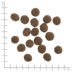 Wildes Land Classic Adult Forelle Und Lachs Mit Kartoffeln Und Wildkräutern Trockenfutter 2 X 12 Kg -Angebote Futter Reich Store wl656146 wildes land nr. 6 forelle und lachs mit kartoffeln und wildkr utern 1kg 0742832656146 lineal 1000px 3