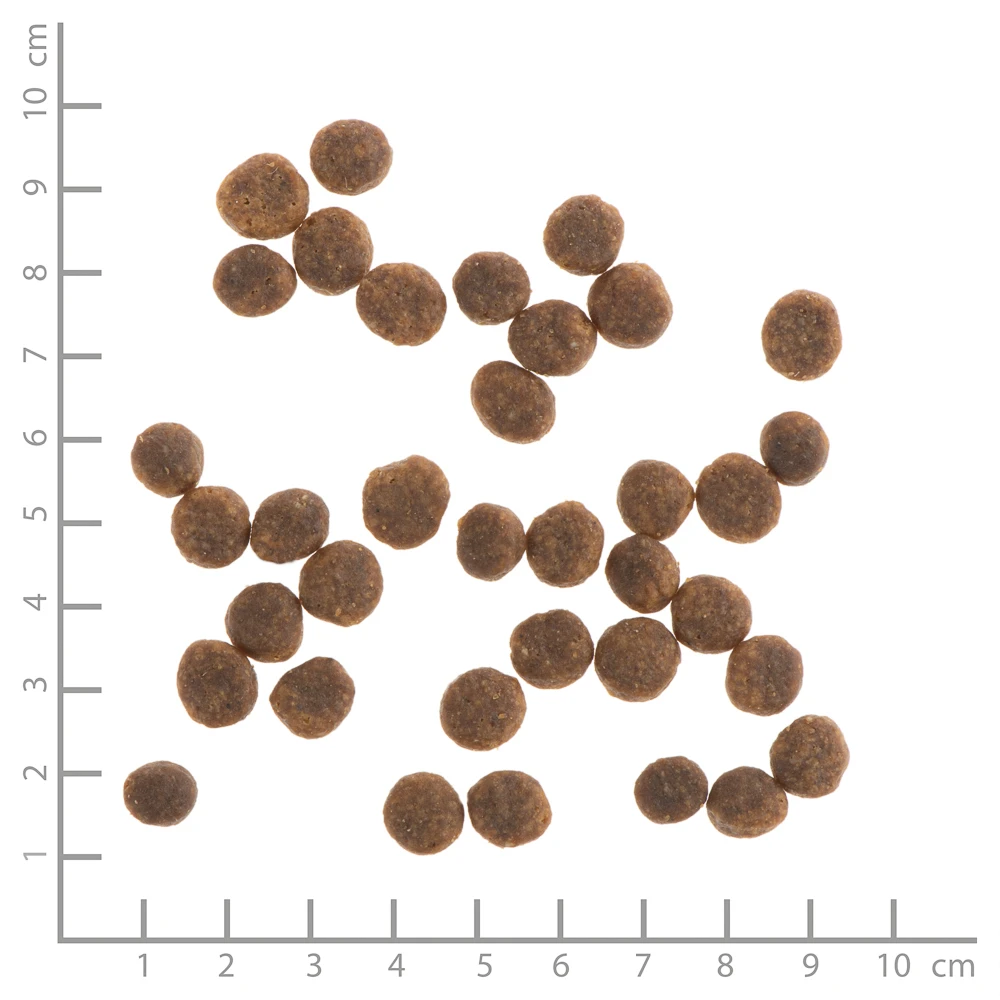 Wildes Land Classic Puppy Ente Und Huhn Mit Kartoffeln Und Wildkräutern Trockenfutter 12 Kg – Bild 4